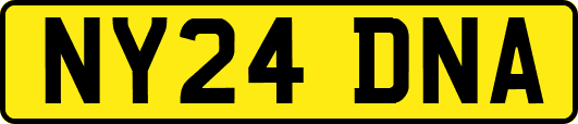 NY24DNA