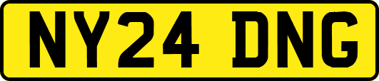 NY24DNG