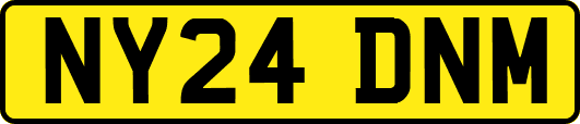 NY24DNM