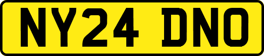 NY24DNO