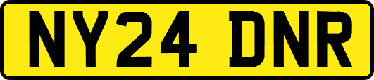 NY24DNR