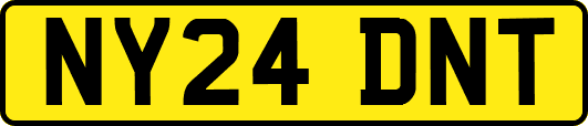 NY24DNT