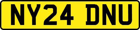 NY24DNU