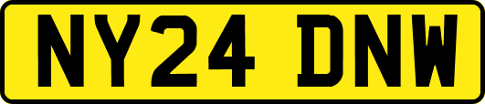 NY24DNW
