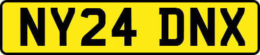 NY24DNX