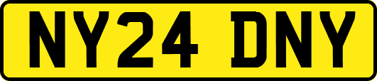 NY24DNY