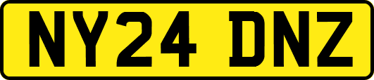 NY24DNZ