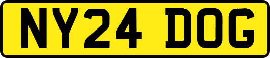 NY24DOG