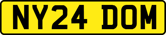 NY24DOM