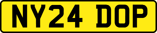NY24DOP