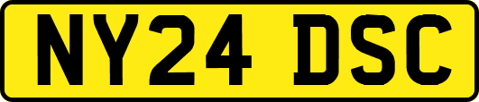 NY24DSC