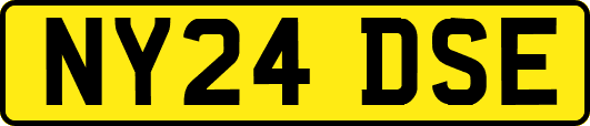 NY24DSE