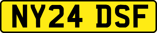 NY24DSF