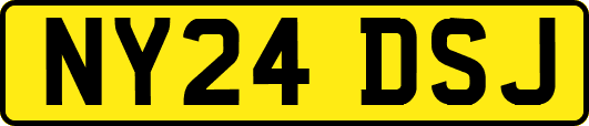 NY24DSJ