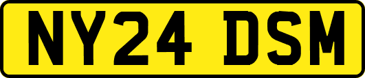 NY24DSM