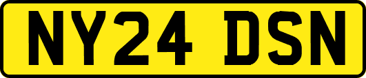 NY24DSN