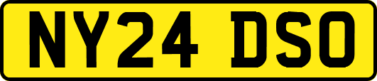 NY24DSO
