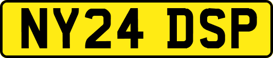 NY24DSP