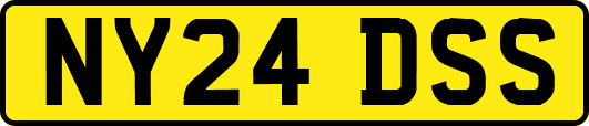 NY24DSS
