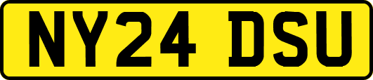 NY24DSU