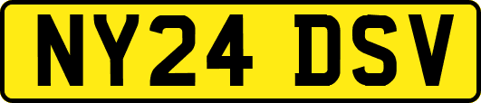 NY24DSV