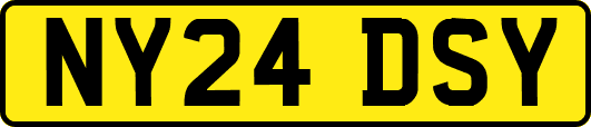 NY24DSY