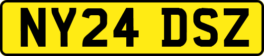 NY24DSZ