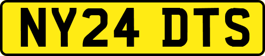 NY24DTS