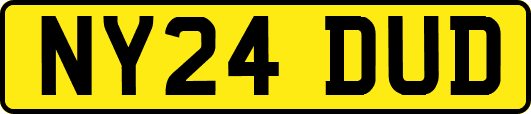 NY24DUD
