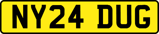 NY24DUG