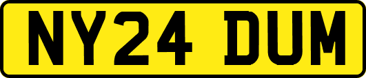 NY24DUM