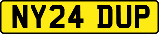 NY24DUP