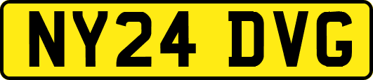 NY24DVG