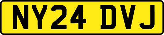 NY24DVJ