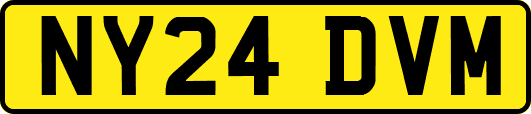 NY24DVM