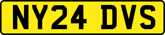 NY24DVS