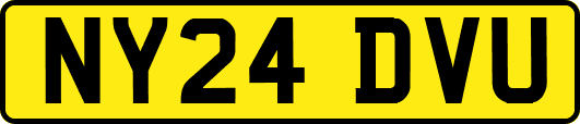 NY24DVU