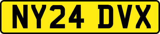 NY24DVX