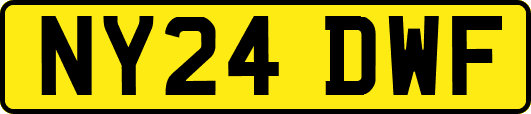NY24DWF