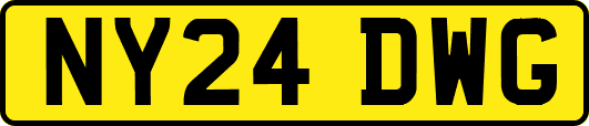NY24DWG
