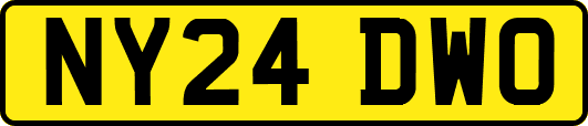 NY24DWO
