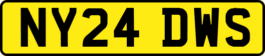 NY24DWS