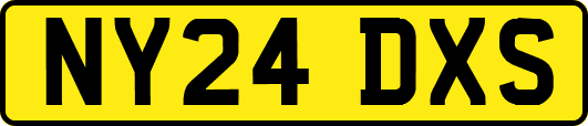 NY24DXS