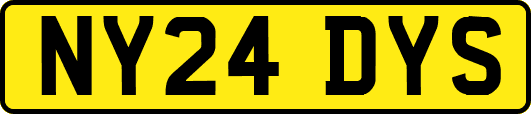 NY24DYS