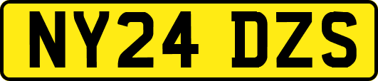 NY24DZS