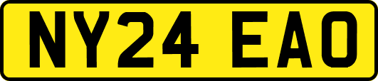NY24EAO