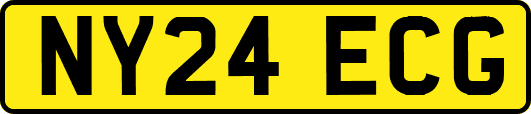 NY24ECG