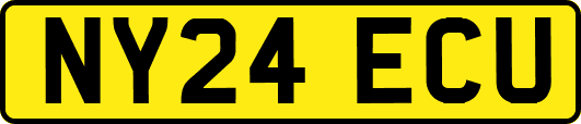 NY24ECU