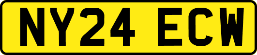 NY24ECW