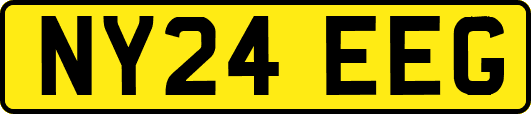 NY24EEG